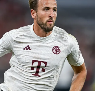 这不仅意味 这不仅意味